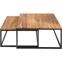 Invicta Set van 2 salontafels ELEMENTS 65cm naturel sheesham massief hout steenafwerking ijzer zwart - 43711