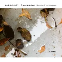 OUTHERE András Schiff - Schubert: Sonatas & Impromptus (2 CD)