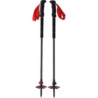 Viking Spider Stokken