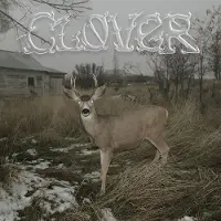 V2 Red Eye Clover
