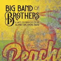 V2 Red Eye Jazz Celebration Of The Allman Brothers Band (Peach Vinyl)