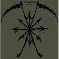 Coast2Coast Blackwood - Of Flies (LP)