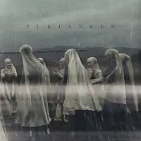 Coast2Coast Pleiadees - Pleiadees (LP)