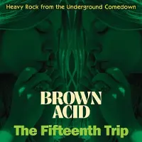 Coast2Coast Various Artists - Brown Acid: The Fifteenth Trip (LP)