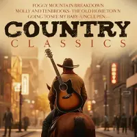Bertus Distributie Various Artists - Country Classics Vol. 1