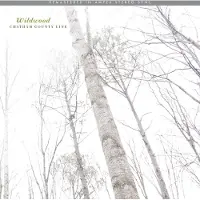 V2 Red Eye Wildwood (Remastered Edition)