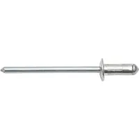 Swg 915486425 Klinknagel met laagbolkop (Ø x l) 4.8 mm x 10.3 mm Aluminium 100 stuk(s)