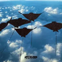 Ginza.se Zombi - Liquid Crystal (LP)
