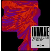 Bigwax Dis Cnt Echt! - Inwane (LP)