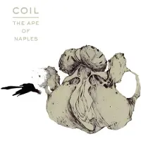 Coast2Coast Coil - The Ape Of Naples (3 LP)