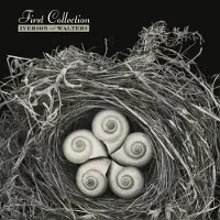 Coast2Coast Iverson And Walters - First Collection (LP)