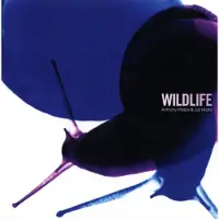 Rpm/Cherry Red Wildlife