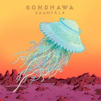 Coast2Coast Gondhawa - Kaampala (LP)