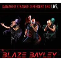 Hamstead Soundworks DAMAGED STRANGE DIFFERENT AND LIVE