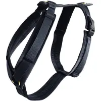 Kentucky Dog Harness Active Velvet