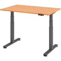 Hammerbacher XDSM Beuken
