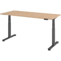 Hammerbacher XDSM Eik