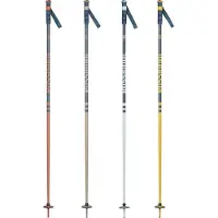 Rossignol Stove Stokken 20 Paren
