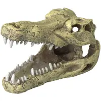 Aqua Della Krokodil Hoofd S decoratie - polyesterhars - 13.5 x 6.5 x 7.5 cm