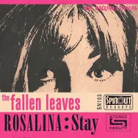 Coast2Coast Fallen Leaves - Rosalina/Stay (7" Single)