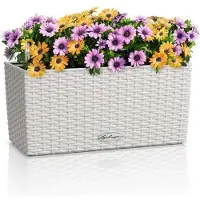 Lechuza BALCONERA Cottage 40 - Plantenbak - met uitneembare binnenbak - met bewateringssysteem - ALL-IN-ONE set met -PON - lichtgrijs