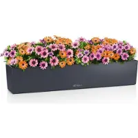 Lechuza BALCONERA Color 100 - Plantenbak - met uitneembare binnenbak - met bewateringssysteem - ALL-IN-ONE set met -PON - leisteengrijs