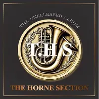 Coast2Coast T.H.S. - The Unreleased Album (LP)