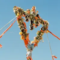 Suburban Flowers