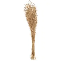 J-Line decoratie tak Linnen Droogbloemen - riet - goud