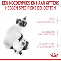 Royal Canin 4x Mother & Babycat Kattenvoer 4 kg
