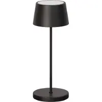 FISCHER&HONSEL GMBH Buitenlamp Asena Pro Outdoor Zwart