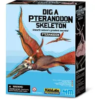 4M KidzLabs - Opgraving Pteranodon - - OneSize - Knutselpakket