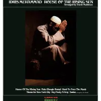 MUSIC ON VINYL HOUSE OF THE RISING SUN
