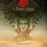 Import DESOLATION ROSE