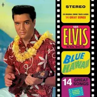 Bertus Distributie Blue Hawaii