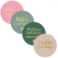Kassaplan Stickers Hallo Lieve Baby Ø40mm 250st Verschillende verschillende Papier