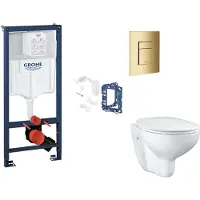 GROHE Rapid SL - Set voor voorwandinstallatie, toilet, SoftClose-zitting, Skate Cosmopolitan-knop en set voor het inwerpen van tabletten, Cool Sunrise SANI11BB4154