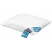 Vandyck Hoofdkussen Pure Nature G.Veren Stevig (60 x 70 cm)