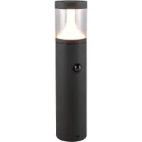 TRIO Tuinlamp Tagus antraciet 50cm met sensor