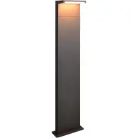 TRIO Moderne tuinlamp Ravi antraciet 100cm