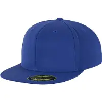 Flexfit Pet blauw