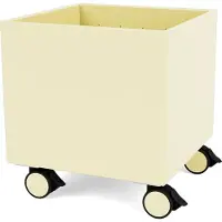 Montana Colour Box I – S6161 Camomile