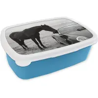 MuchoWow Broodtrommel Blauw - Lunchbox Paard - Auto - Zwart - Wit - Brooddoos 18x12x6 cm - Brood lunch box - Broodtrommels voor kinderen en volwassenen