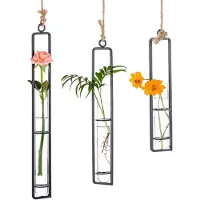 Crrynuo creatieve ijzeren glazen vaas hangende fles container hydroponische hangende fles reageerbuis bloemen hangende plant ornamenten - woonkamer tuin - groot (zwart)
