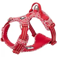 TrueLove honden tuig - Honden harnas - Tuigje - Harnas – Reflecterend - Hond - Wandelen - Rood bloem - XS