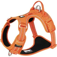 TrueLove - Hondentuigje - Hondenharnas - Anti Trek Tuigje - Reflecterend Harnas - 43-56cm - Small - Oranje
