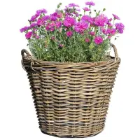 Mega Collections Plantenmand - bloemenmand - D42 x H31 cm - rond - rotan gevlochten - rieten mand