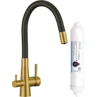 Laveo RIVECO keukenkraan met flexibele uitloop en Amii Gold filter