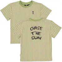 QPI gestreept T-shirt met backprint groen Jongens Katoen Ronde hals Backprint - maat 80