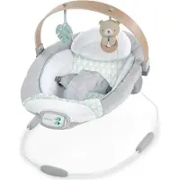 Ingenuity Babywieg, Nate l'Ourson, met houten speelboog, afneembaar speelgoed, 3-punts veiligheidsgordel